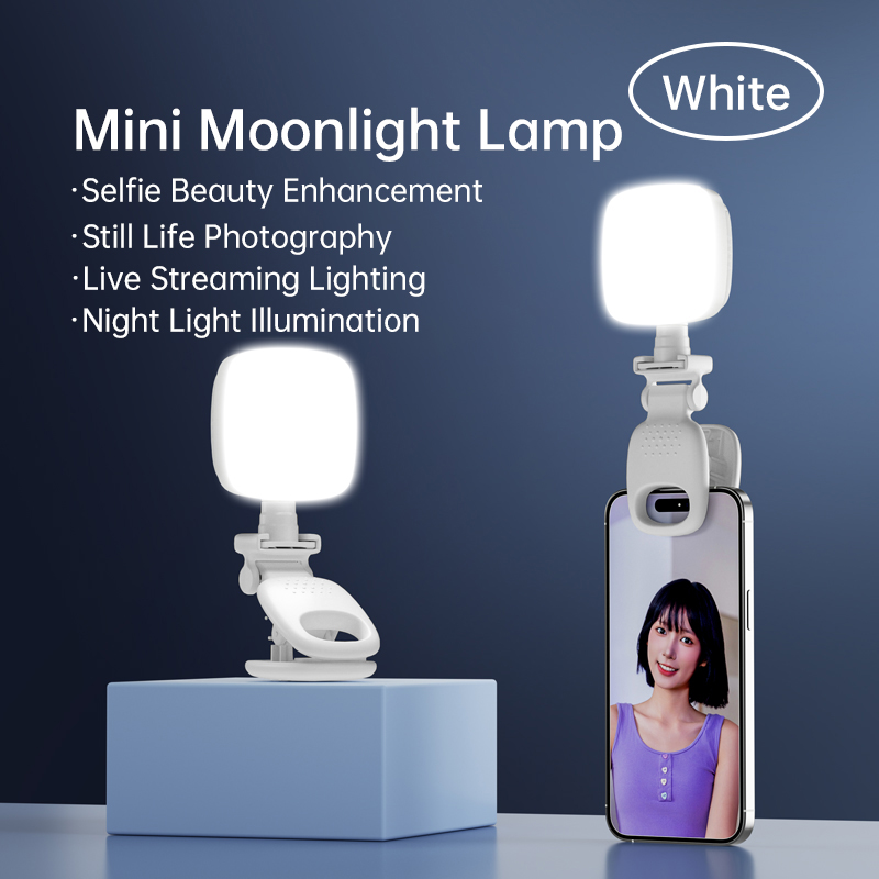 Lighting Gallery - Draagbare LED Selfie Light Camera Mini