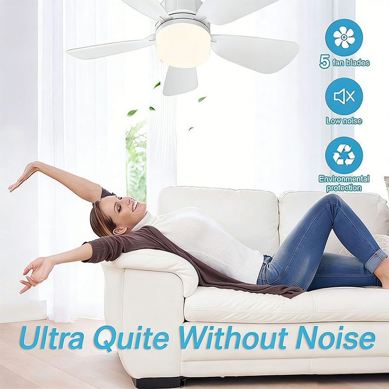 E27 Schroef Plafondventilator  - Decor Lighting Ceiling Fans recensie en prijs