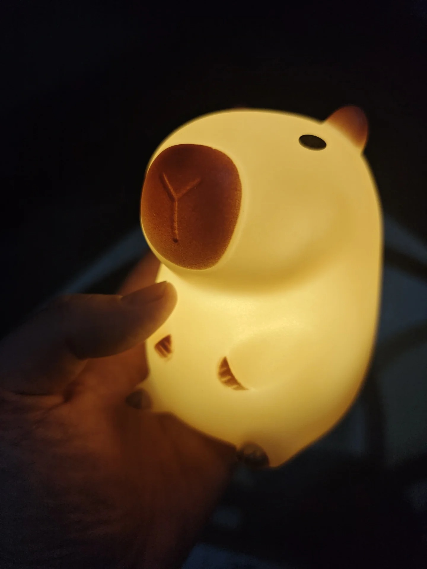 Schattig Capibara Nachtlampje  - Decor Lighting Sales recensie en prijs